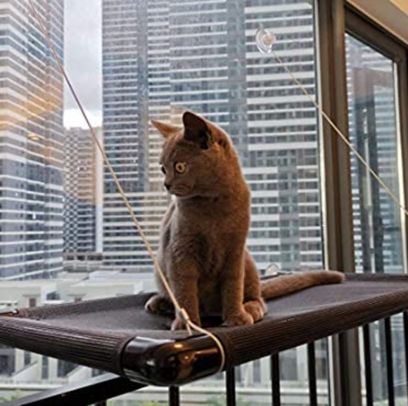 Cat window bed - Picture 2 of 7